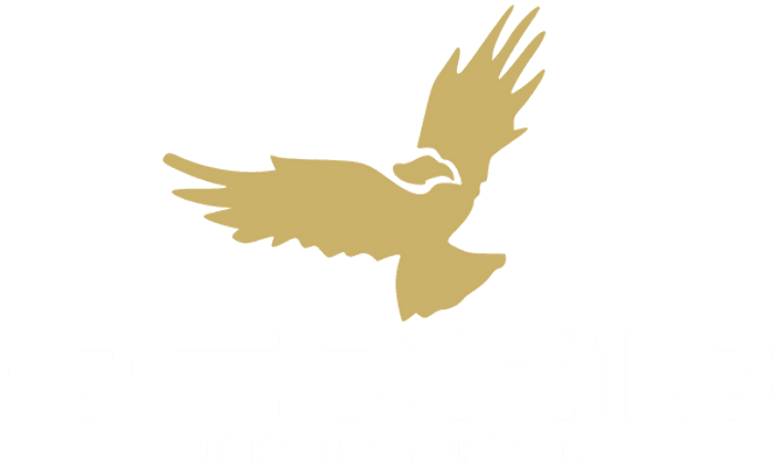 JEDX10 Logo